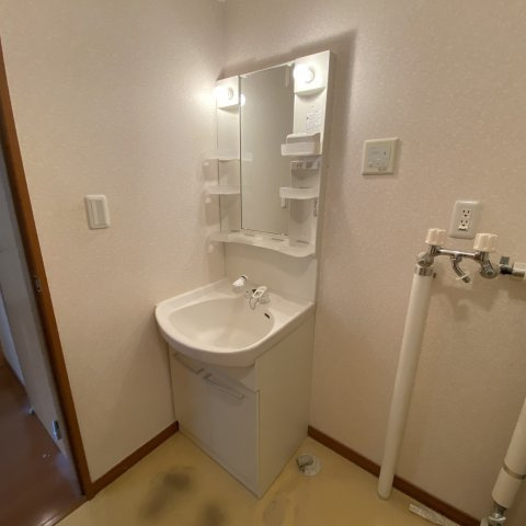 ヴィーナスステージⅡの洗面所