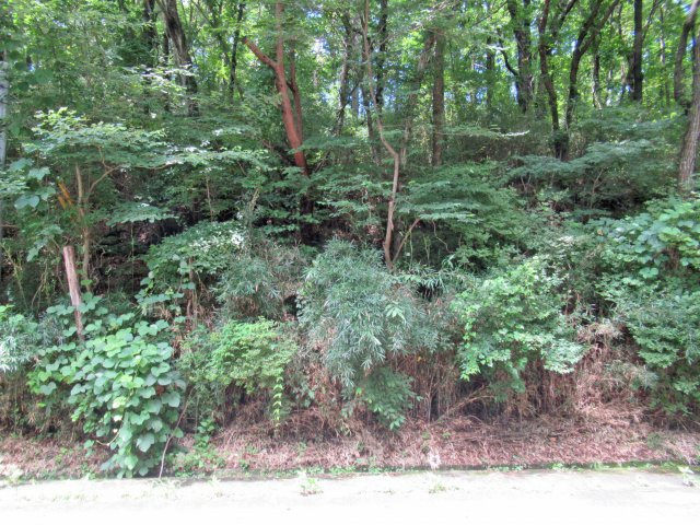 エンゼルフォレスト那須①