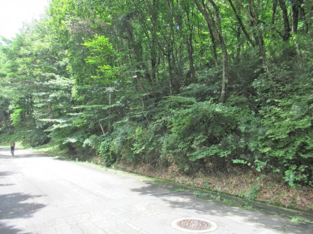 エンゼルフォレスト那須①の前面道路含む現地写真