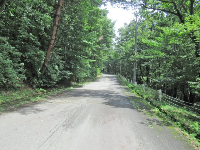 エンゼルフォレスト那須①の前面道路含む現地写真