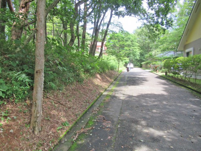 並木台別荘地①の前面道路含む現地写真