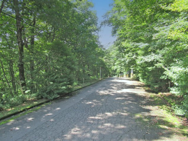 並木台別荘地②の前面道路含む現地写真