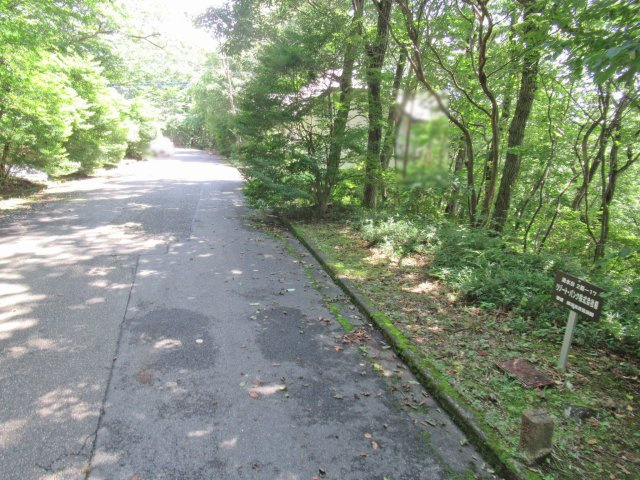 並木台別荘地②の前面道路含む現地写真