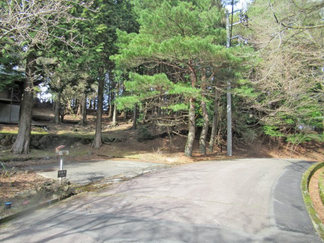 天城東急リゾート①木造ルーフィング葺平家建の前面道路含む現地写真|駐車スペースあり