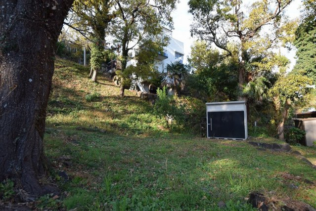 【庭】 | 伊豆急伊豆高原　店舗付き戸建 | 建物の裏は傾斜地になっており、一部土砂災害警戒区域に指定されております。