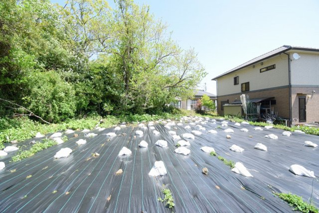 【外観】 | 伊東市富戸　売地 | 平坦部分には防草シートが張られてます。