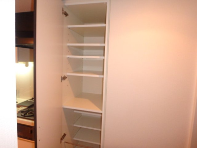 【収納】 | レジディア武蔵小杉 | 別部屋参考写真です