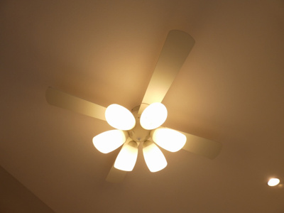 【その他】 | サニーデイズ中村公園