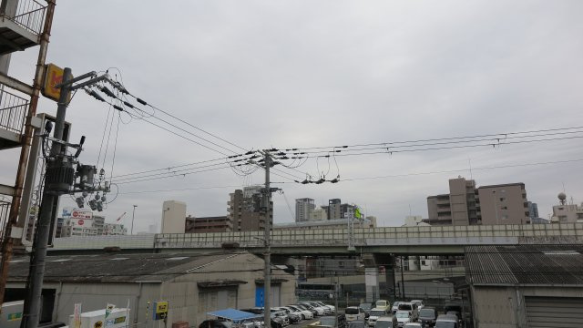 レオンコンフォート難波西Ⅲの展望