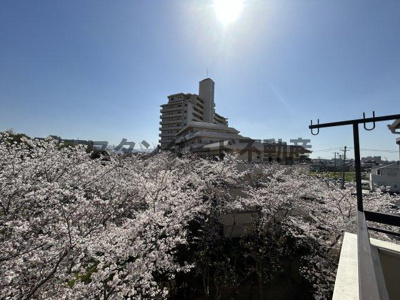 【展望】 | 富田林須賀１丁目貸家