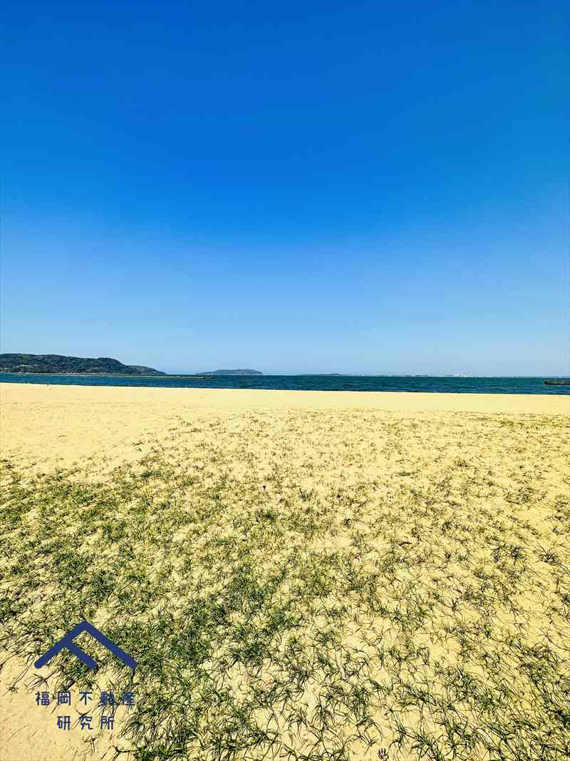 リベーラガーデンDⅡ棟（アベニューイーストⅡ棟）の周辺