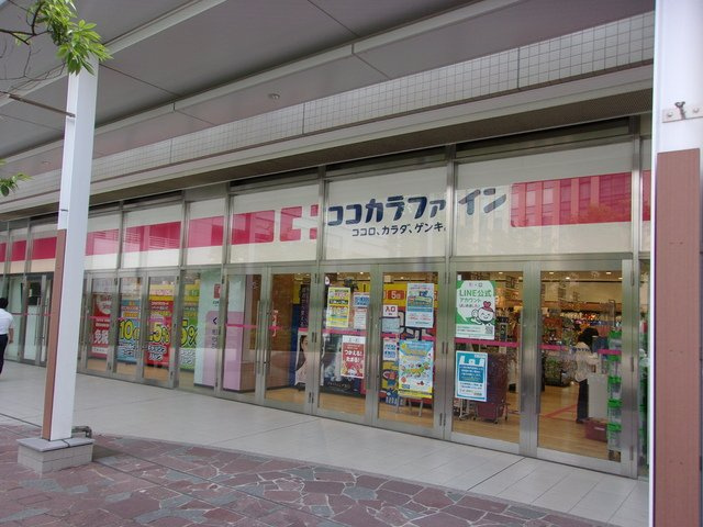 ココカラファインヨークフーズ新宿富久店まで180ｍ
