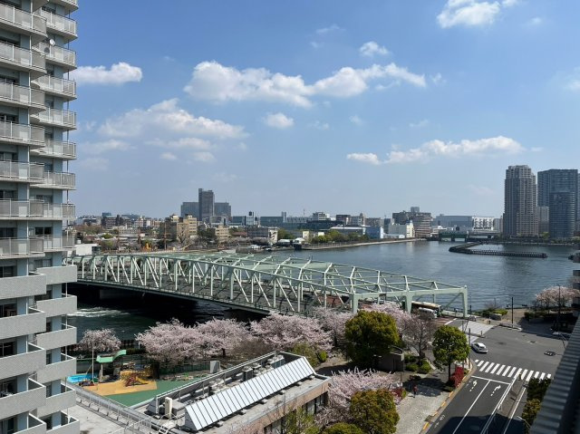 春は桜がきれい。スカイツリーも見えます！