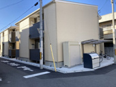 マナティーの画像