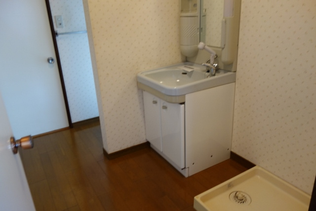 双羽コーポの洗面所