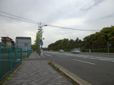 コーポセリバシーの周辺|前面道路