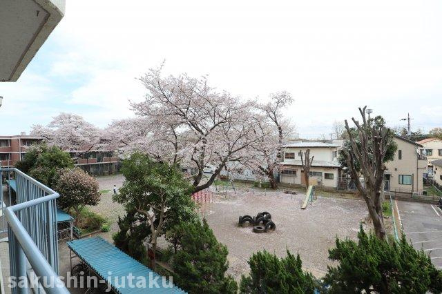 八千代台ハイツの展望|眼下に公園が広がります。全面は高い建物はなく眺望良好です。
