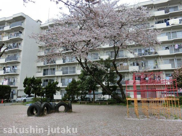 八千代台ハイツ