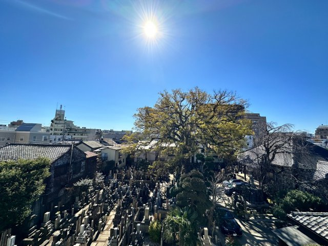 【展望】