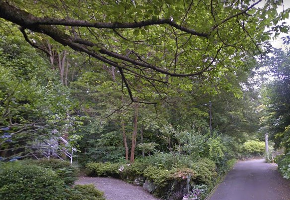 【外観】 | 大室高原別荘地　売地