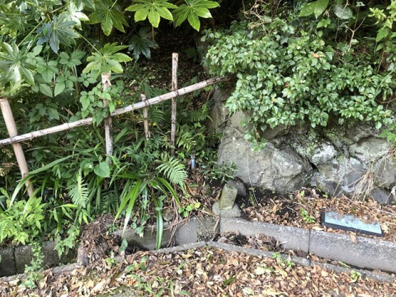 【外観】 | 大室高原別荘地　売地