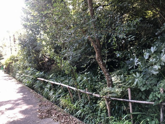 【外観】 | 大室高原別荘地　売地