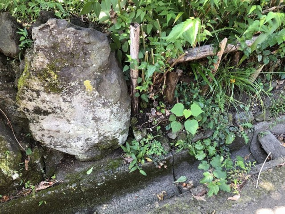 【外観】 | 大室高原別荘地　売地