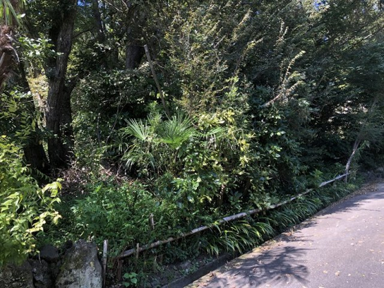 【外観】 | 大室高原別荘地　売地