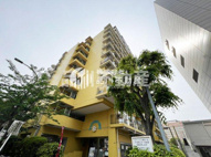 東京ベイビュウの画像