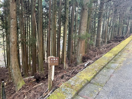 【前面道路含む現地写真】 | 東急天城高原別荘地　売地