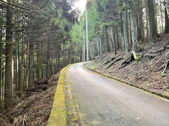 【前面道路含む現地写真】 | 東急天城高原別荘地　売地