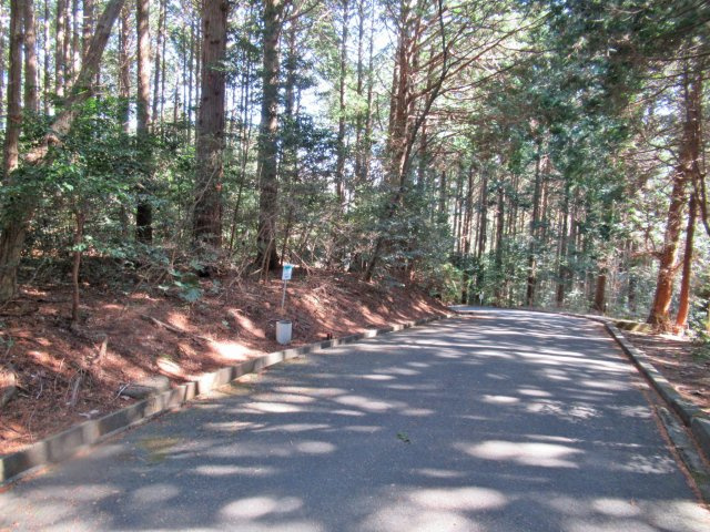 伊豆エメラルドタウン②の前面道路含む現地写真|緑豊かな別荘地です