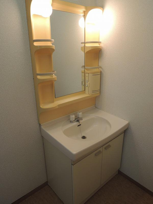 センチュリー府中5番館の洗面所