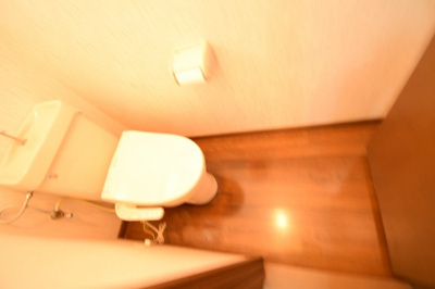 【トイレ】 | アンピエンス佐野 | 落ち着いたトイレです