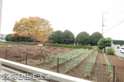 【展望】 | ＤＲＥＡＭ