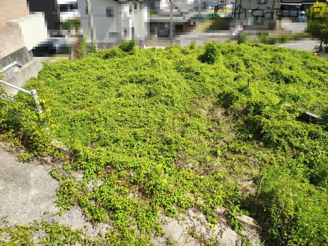 【外観】 | 相生市双葉１丁目／売土地