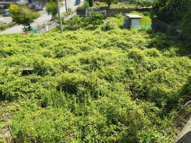 【外観】 | 相生市双葉１丁目／売土地