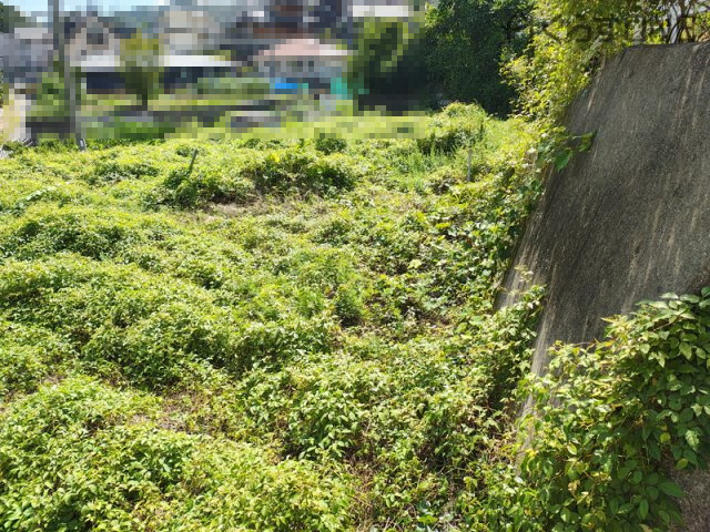 【外観】 | 相生市双葉１丁目／売土地