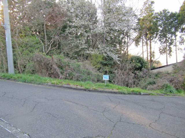 伊豆エメラルドタウン①