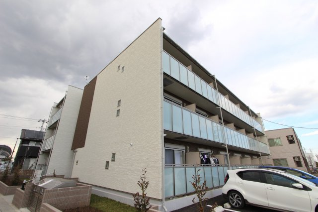 クレイノミオラコート