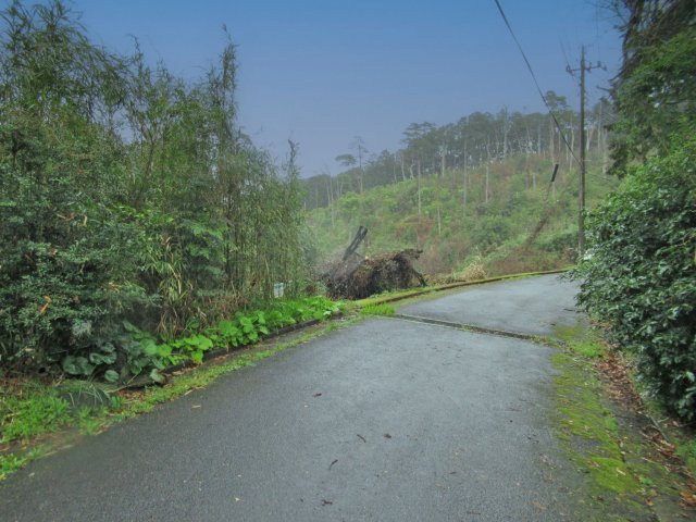 伊豆エメラルドタウン③の前面道路含む現地写真