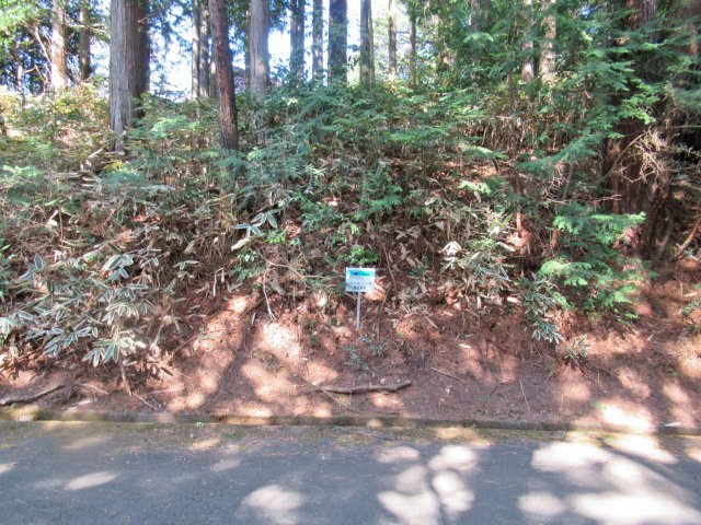 伊豆エメラルドタウン④