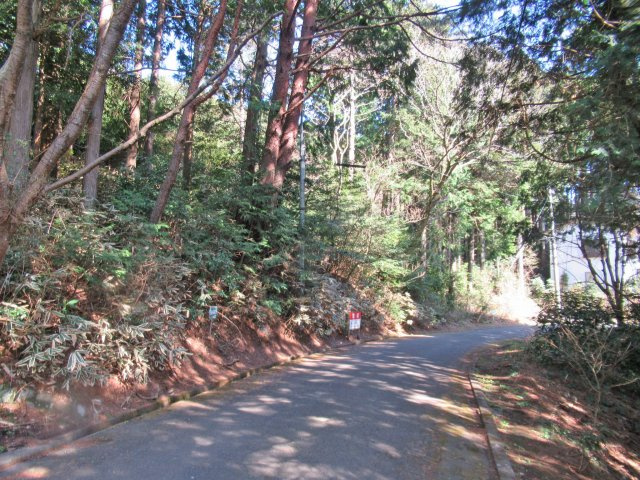 伊豆エメラルドタウン④の前面道路含む現地写真