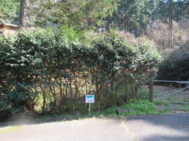 伊豆エメラルドタウン⑤