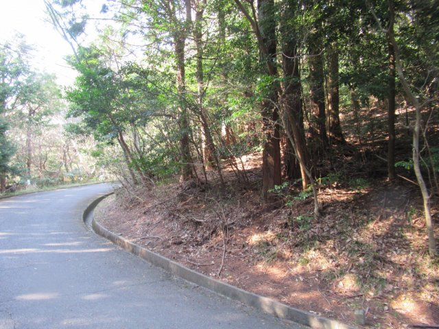 伊豆エメラルドタウン⑥の前面道路含む現地写真