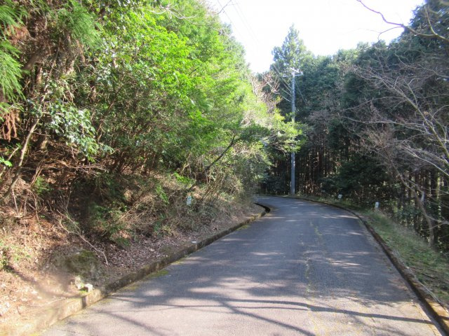 伊豆エメラルドタウン⑥の前面道路含む現地写真