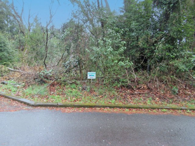 伊豆エメラルドタウン⑦