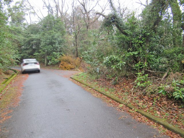 伊豆エメラルドタウン⑦の前面道路含む現地写真