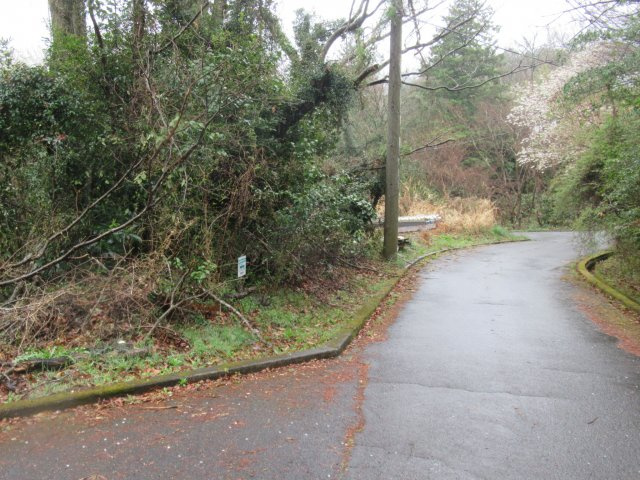 伊豆エメラルドタウン⑦の前面道路含む現地写真