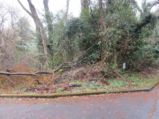 伊豆エメラルドタウン⑦の前面道路含む現地写真